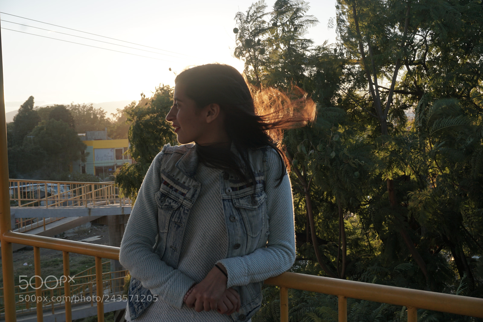 Sony E 16-50mm F3.5-5.6 PZ OSS sample photo. Dsc photography
