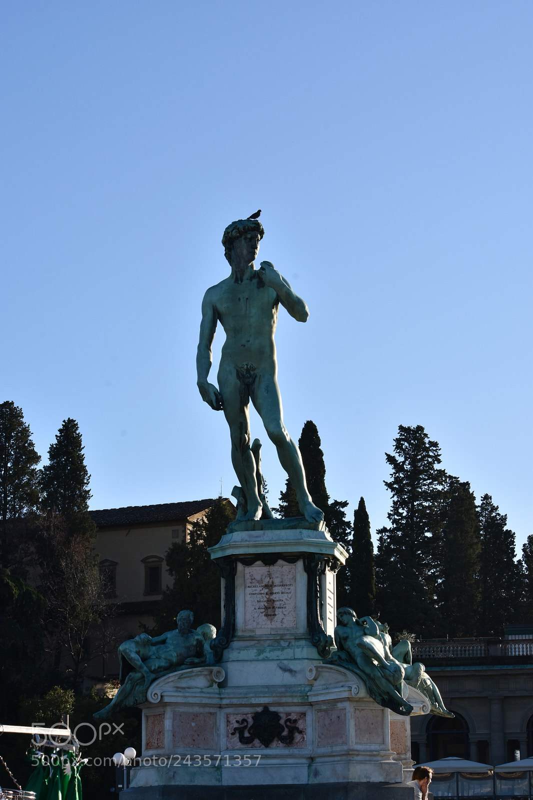 Nikon D7200 sample photo. David di michelangelo photography