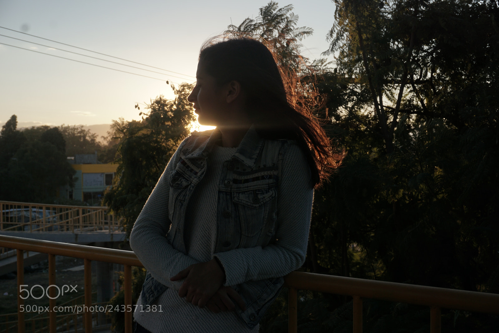 Sony a6000 + Sony E 18-50mm F4-5.6 sample photo. Dsc photography