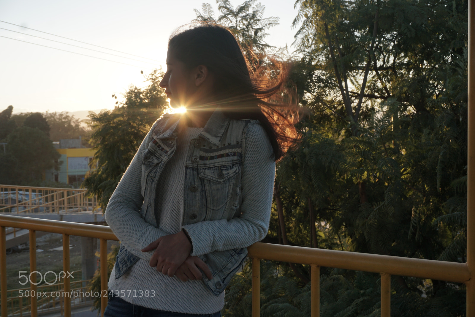 Sony a6000 + Sony E 18-50mm F4-5.6 sample photo. Dsc photography