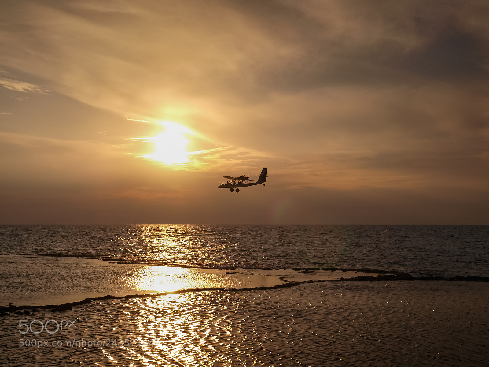 Olympus E-3 sample photo. Later flying messenger. photography