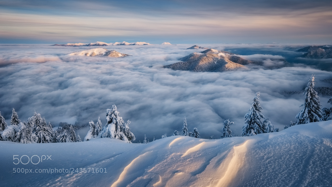 Fujifilm X-T20 sample photo. Velka fatra inversion ii. photography