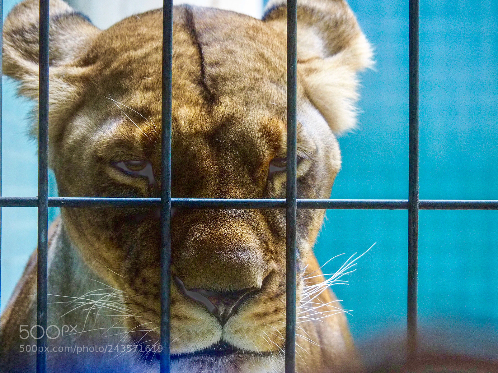 Olympus OM-D E-M5 II sample photo. Untitled photography