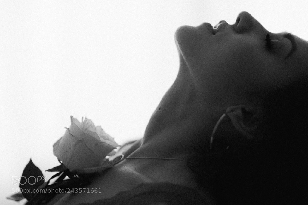 Canon EOS-1Ds Mark III sample photo. Rose photography