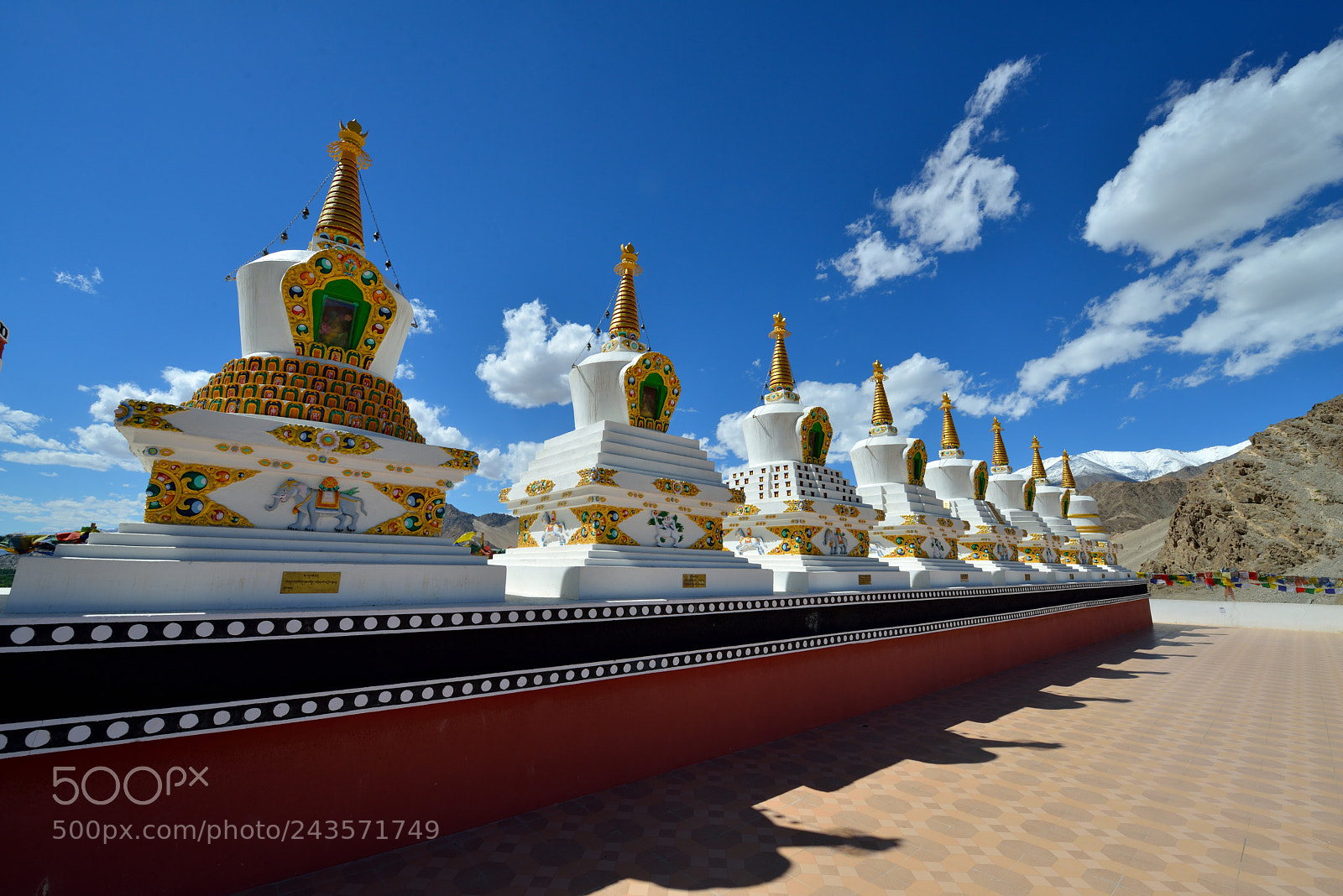 Nikon D800 sample photo. 20250.jpg photography