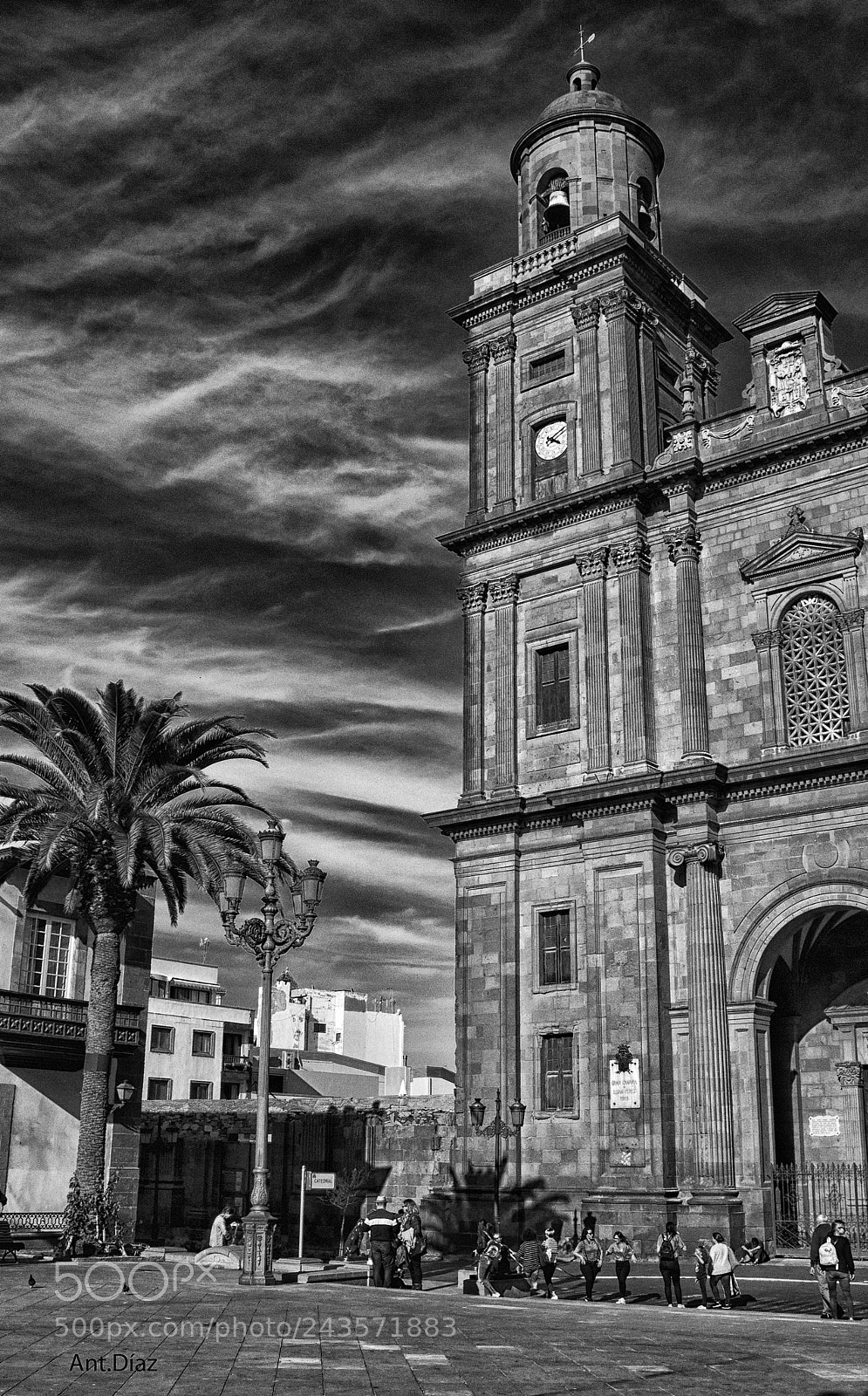 Nikon 1 V1 sample photo. Las palas de gran photography