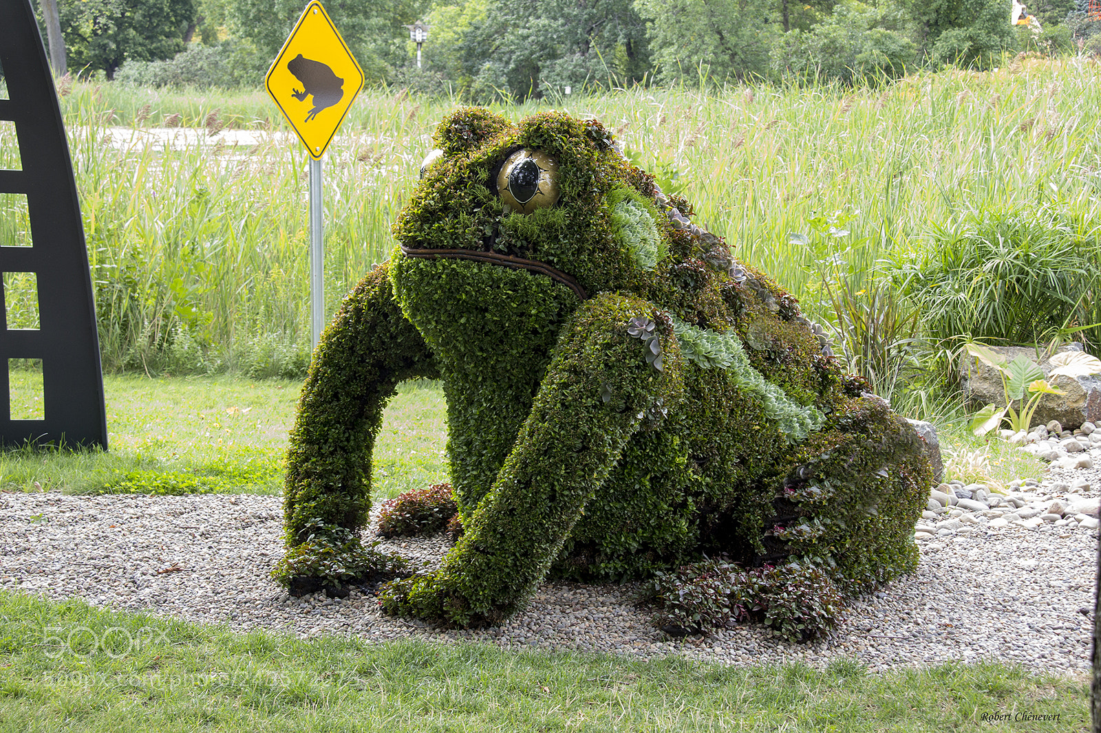 Canon EOS 60D sample photo. Frog crossing photography