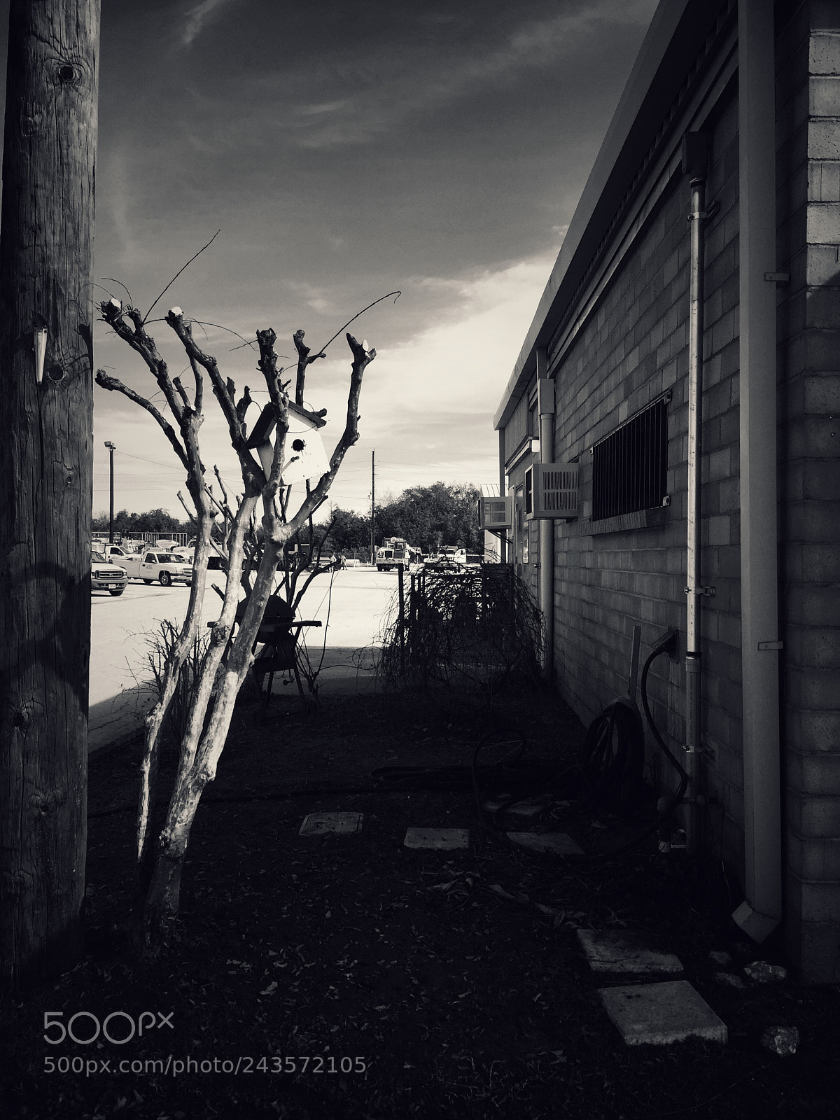 Apple iPhone 6 sample photo. Horizon photography