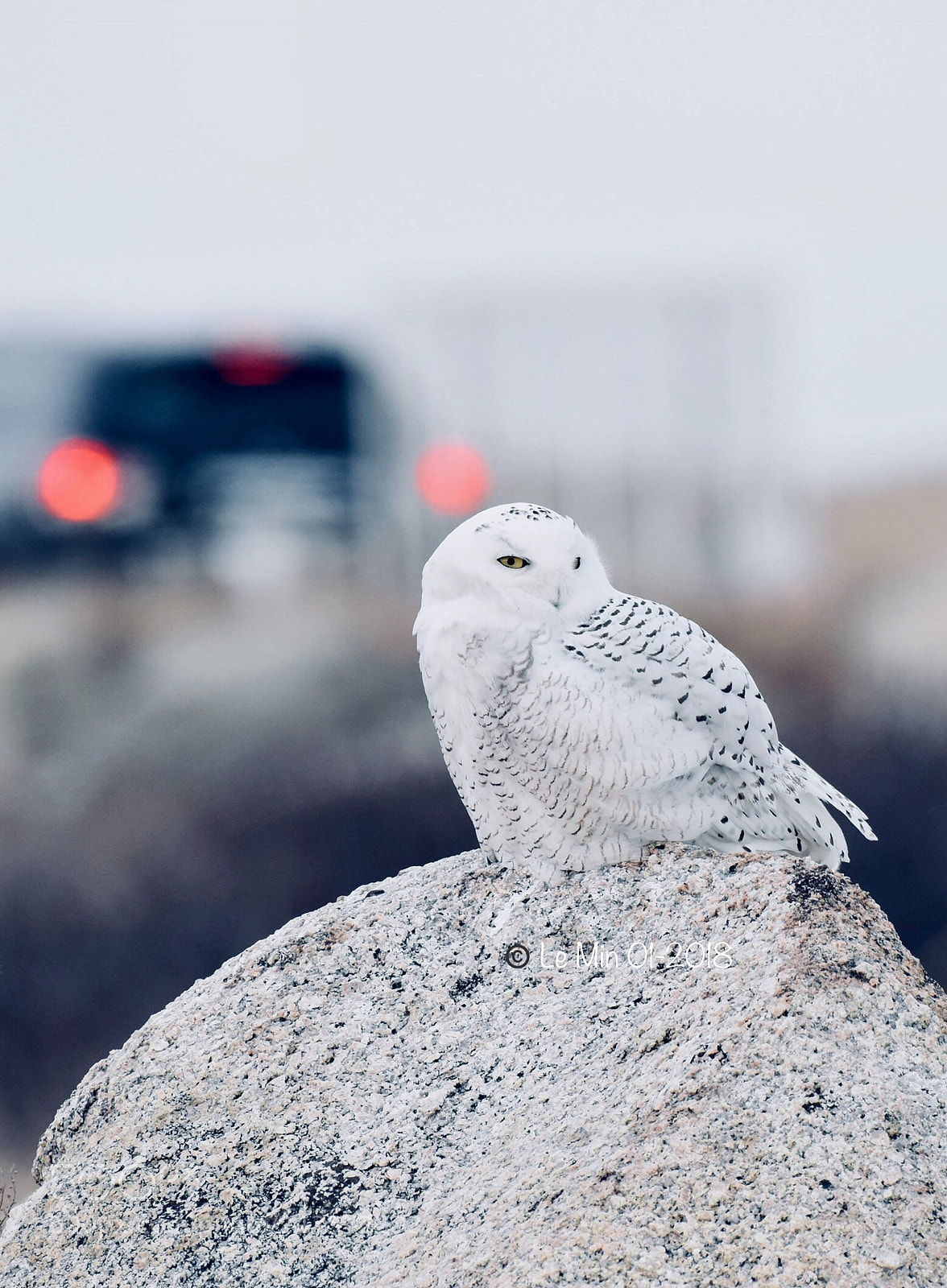 Nikon D810 sample photo. Untitled photography