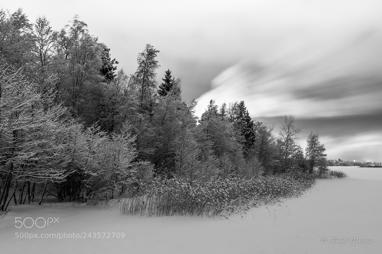 Nikon D7500 sample photo. Winter evening in january photography