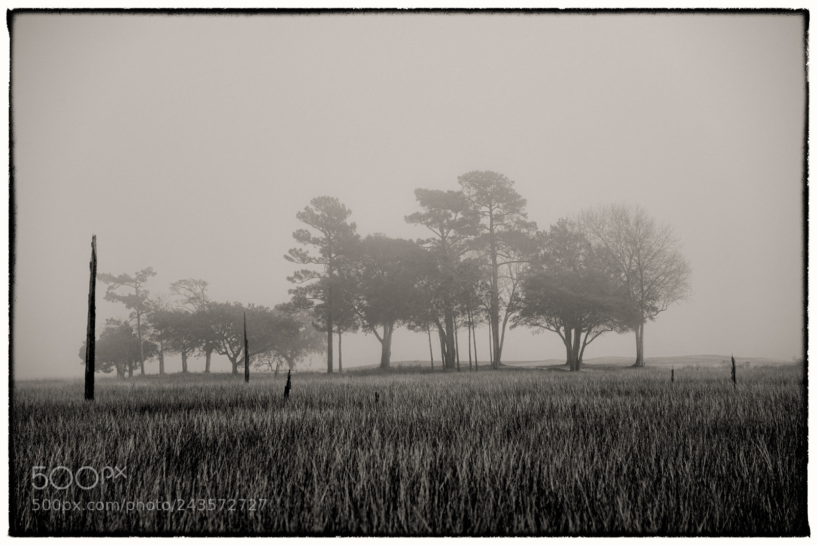 Nikon D610 sample photo. "loneliness no.1" photography