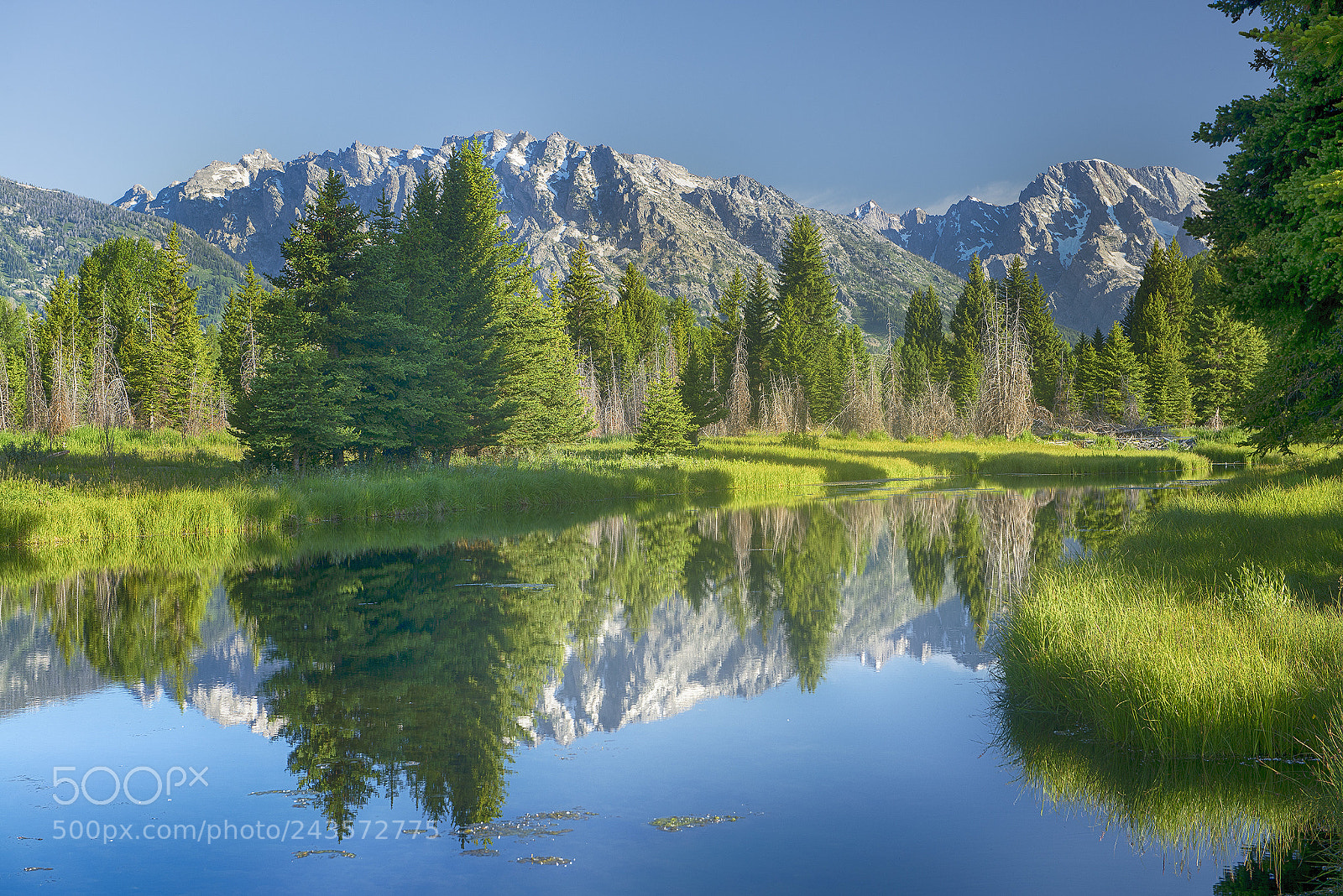 Nikon D610 sample photo. Morning reflections photography