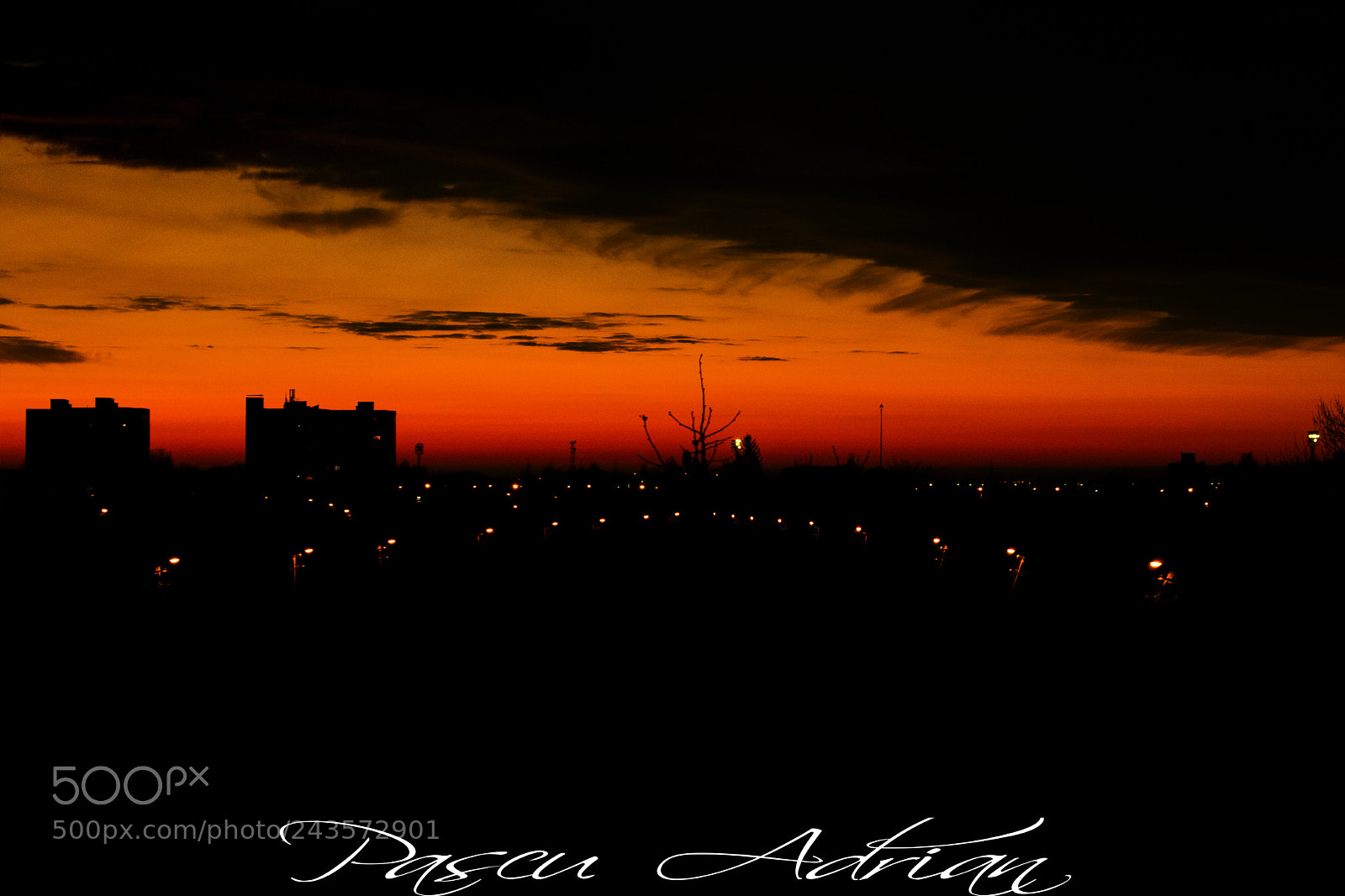 Nikon D3400 sample photo. Red sun bath photography