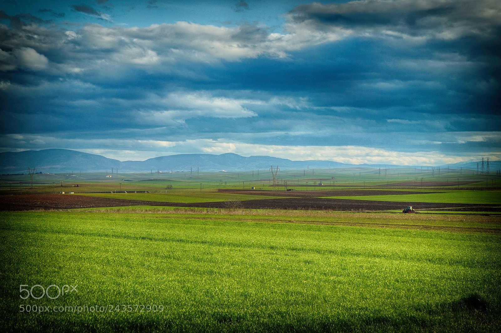 Sony Alpha a5000 (ILCE 5000) sample photo. Wheat fields photography
