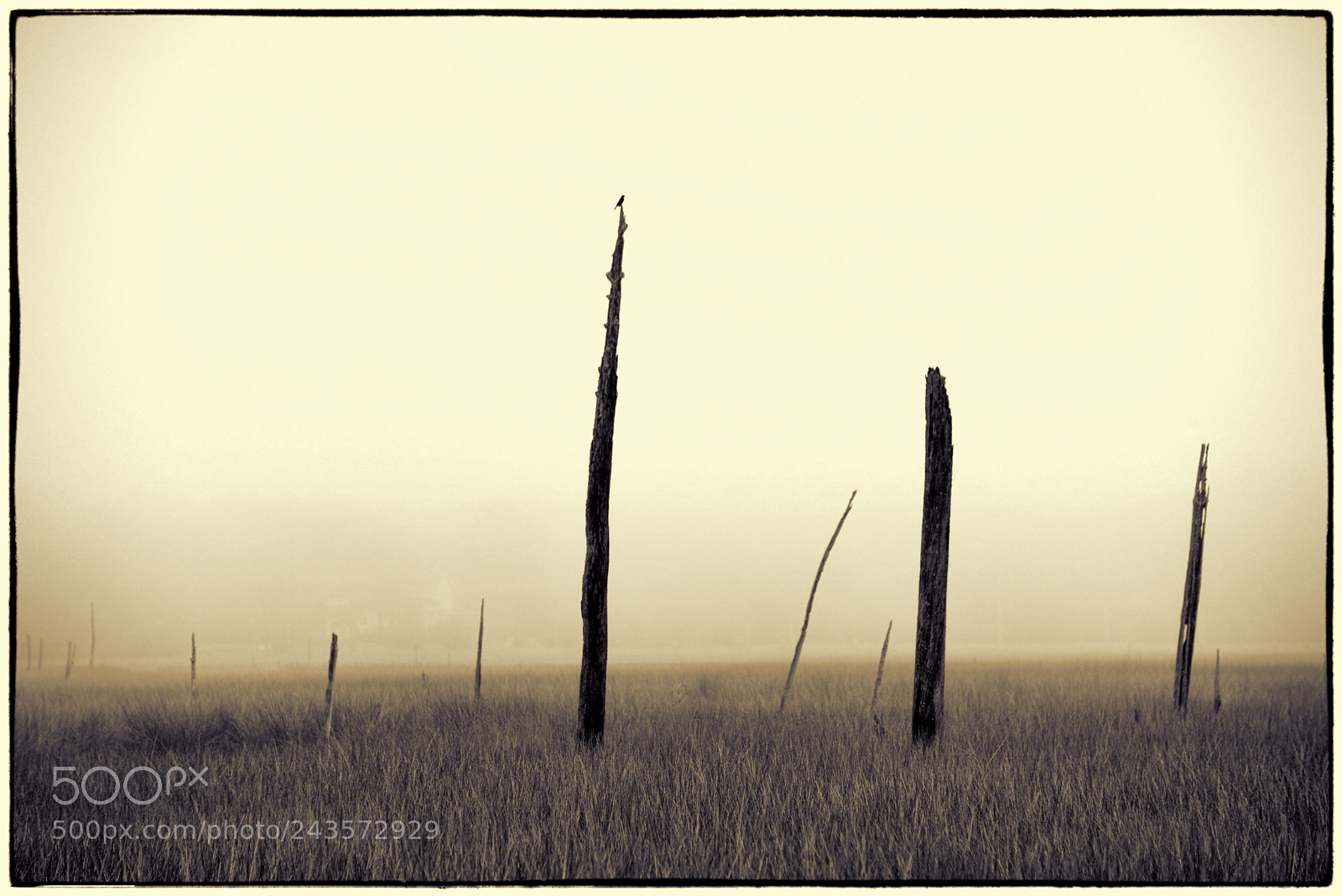 Nikon D610 sample photo. "loneliness no.3" photography