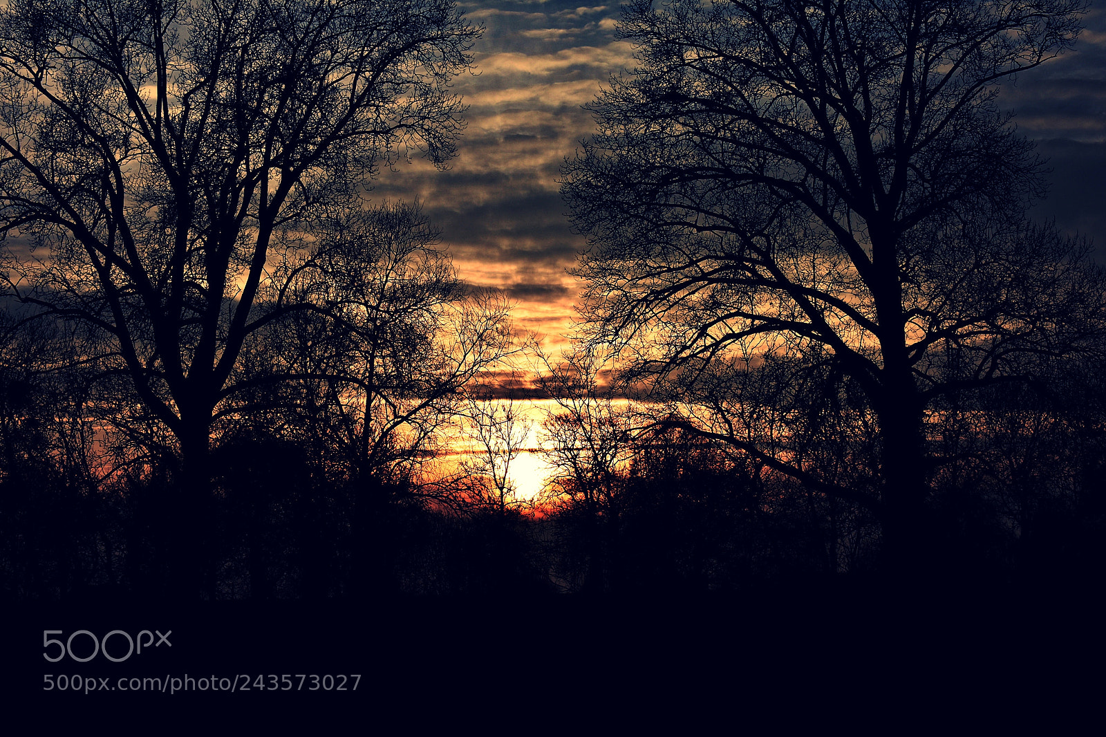 Nikon D3400 sample photo. Sunset between trees photography