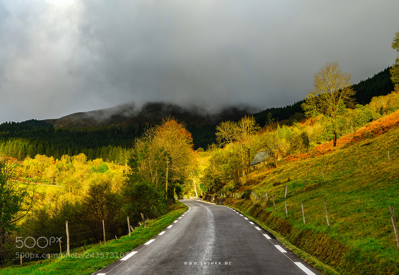 Sony Alpha a99 sample photo. Beautiful empty road in photography