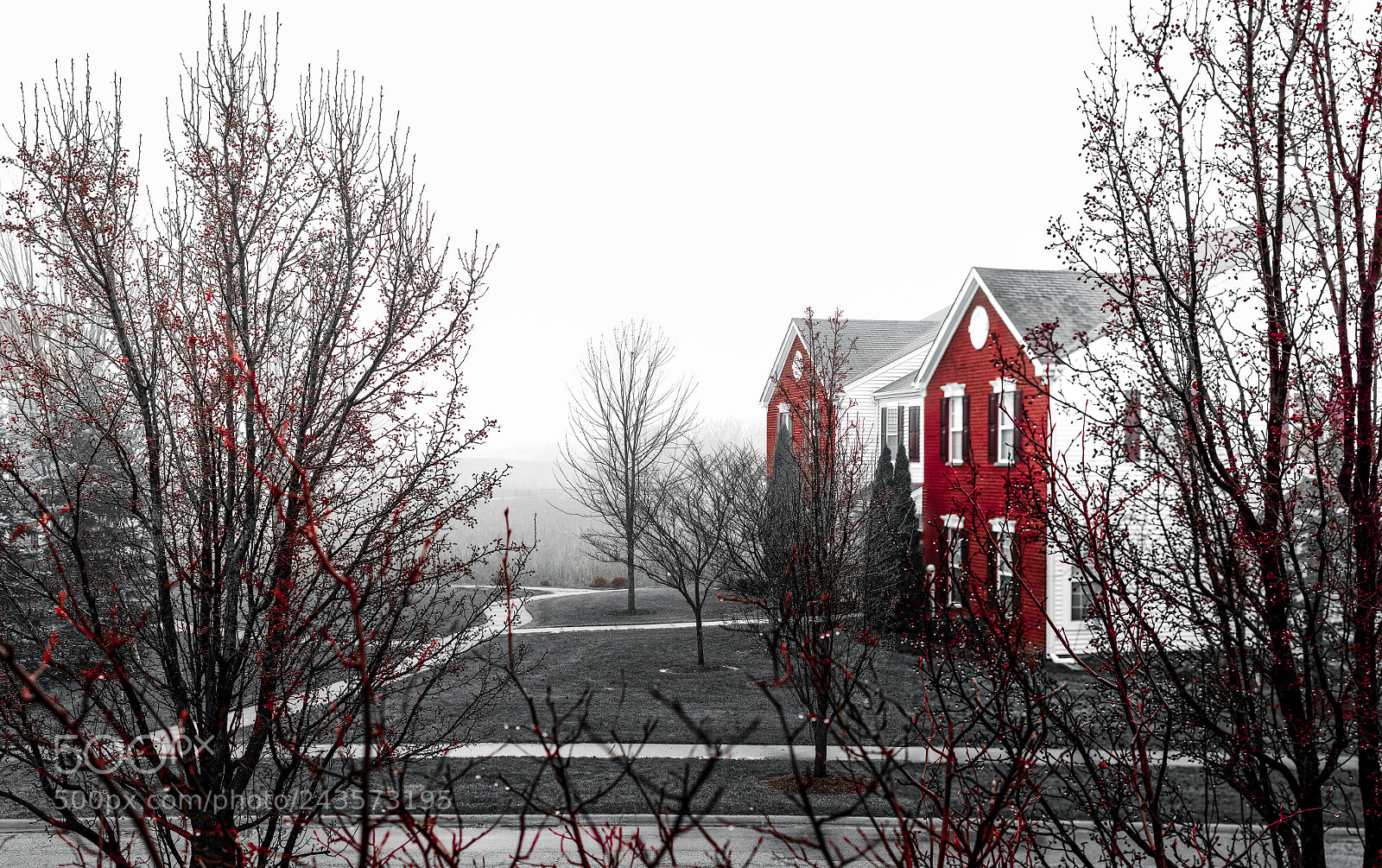 Canon EOS 600D (Rebel EOS T3i / EOS Kiss X5) sample photo. Bloody mary photography