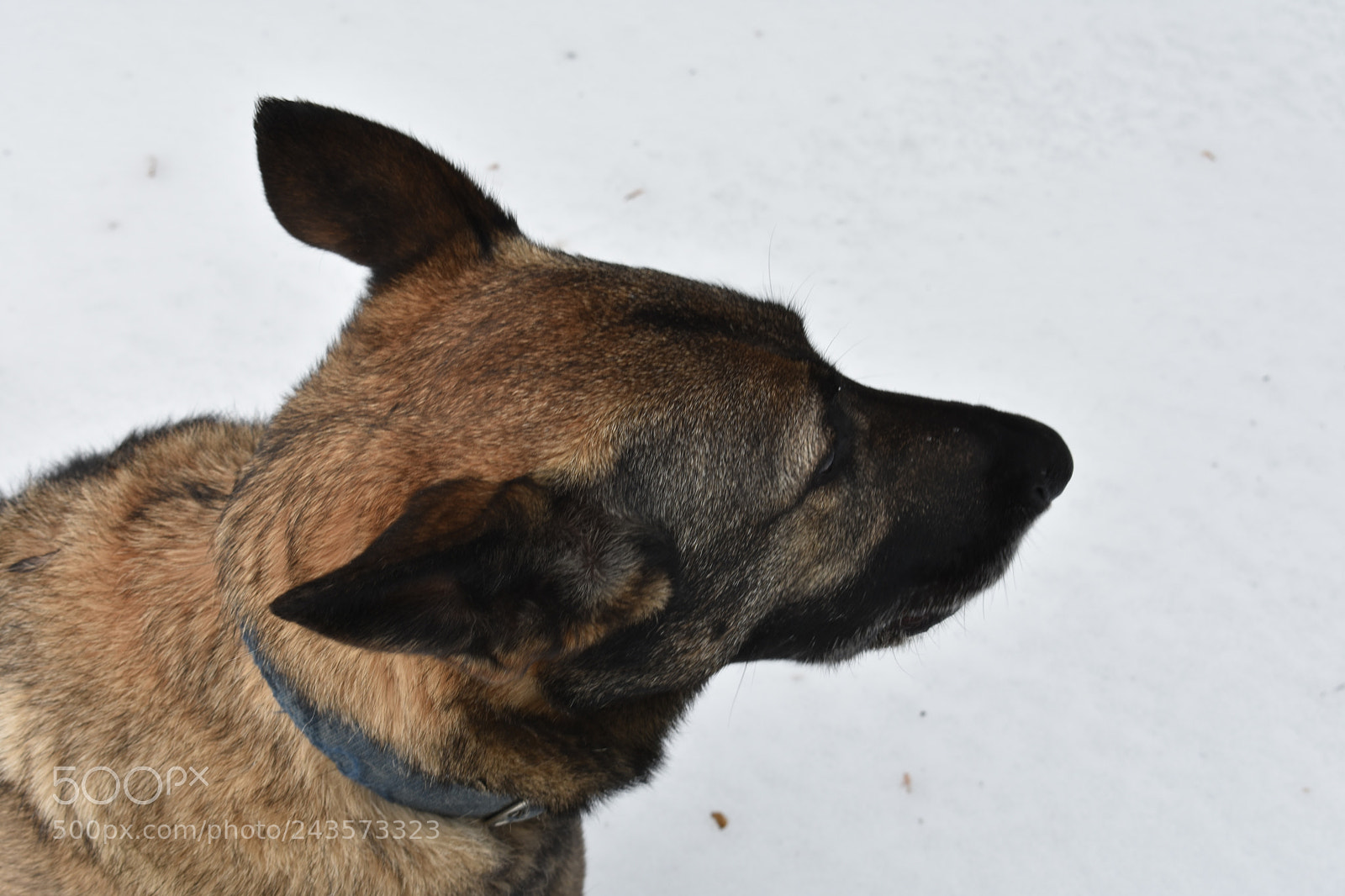 Nikon D3400 sample photo. Dsc photography