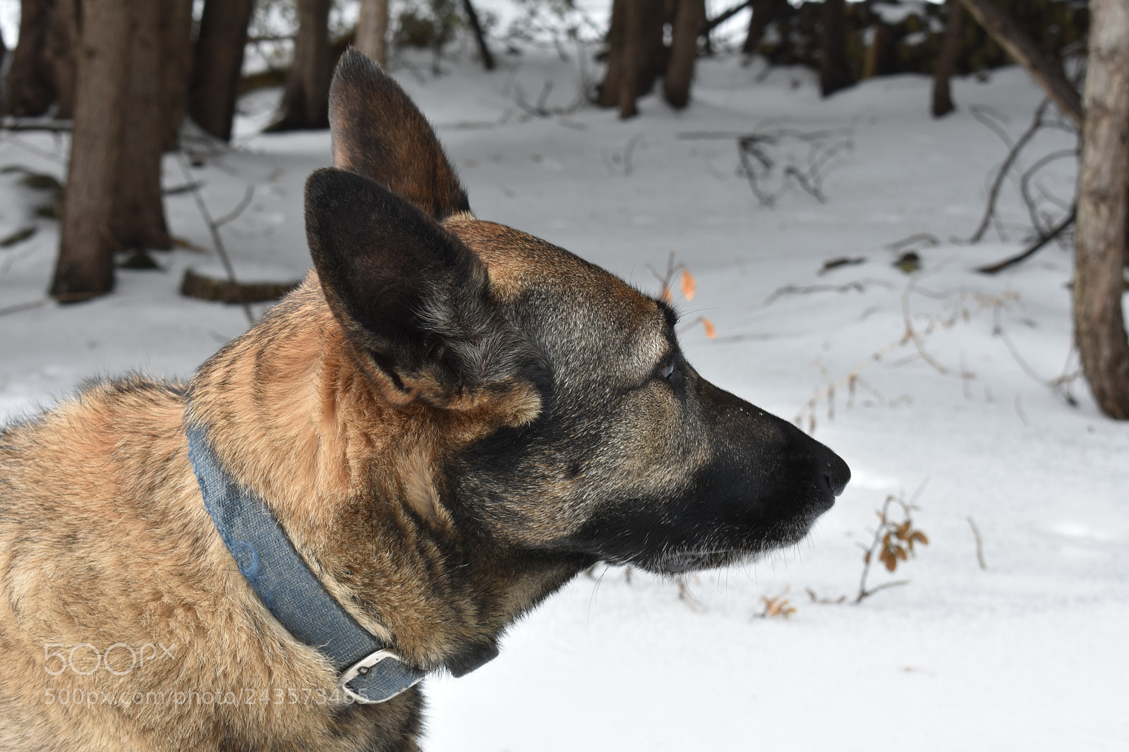 Nikon D3400 sample photo. Dsc photography
