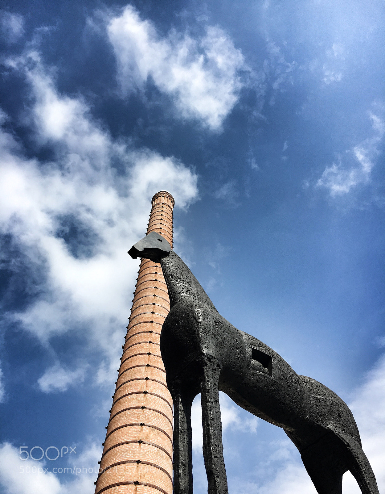 Apple iPhone 6s sample photo. Cavallo paladino modena mata photography
