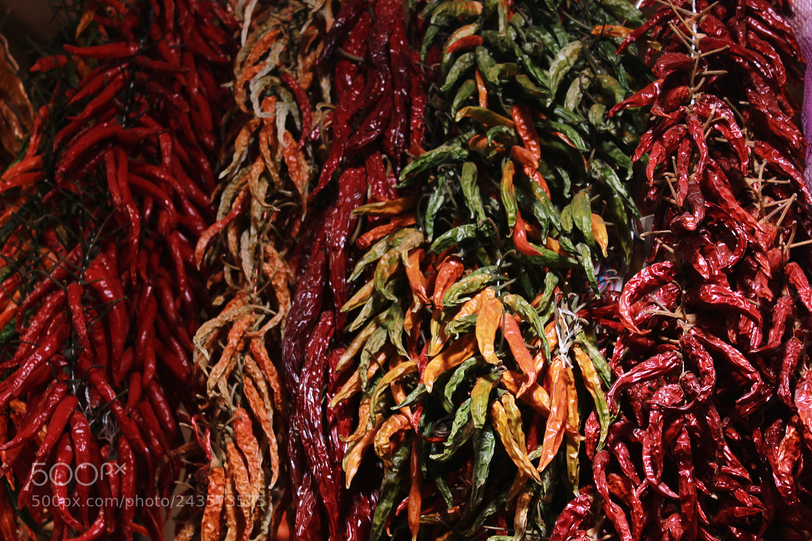 Canon EF-S 18-55mm F3.5-5.6 III sample photo. La boqueria, barcelona photography