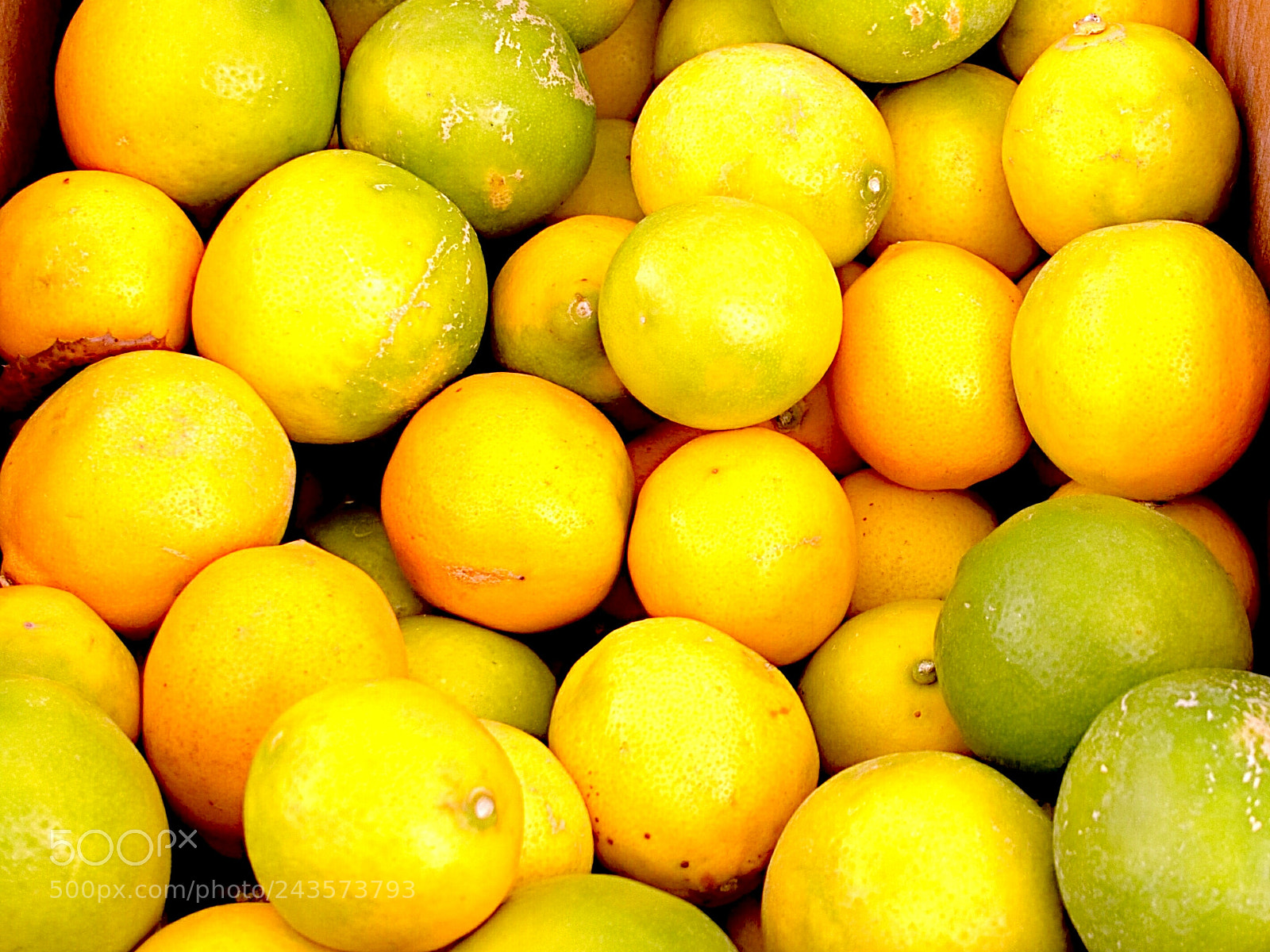 Sony Cyber-shot DSC-RX100 III sample photo. Lemons photography