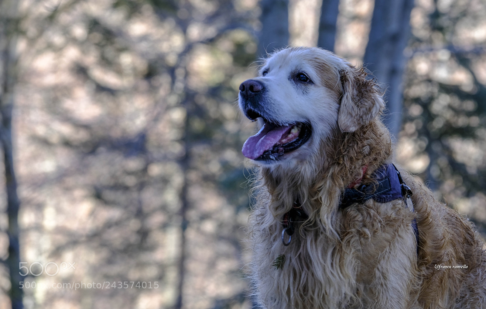 Fujifilm X-T2 sample photo. Achille photography