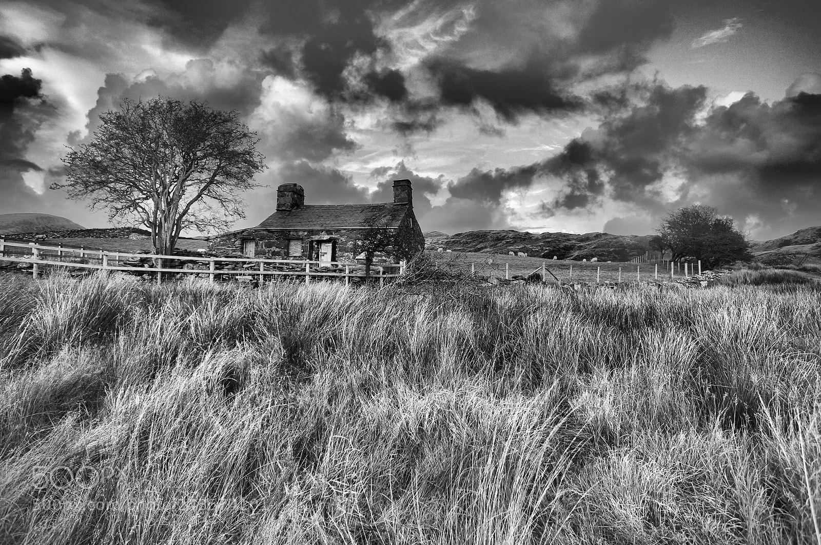 Sony Alpha NEX-5N sample photo. Windswept photography
