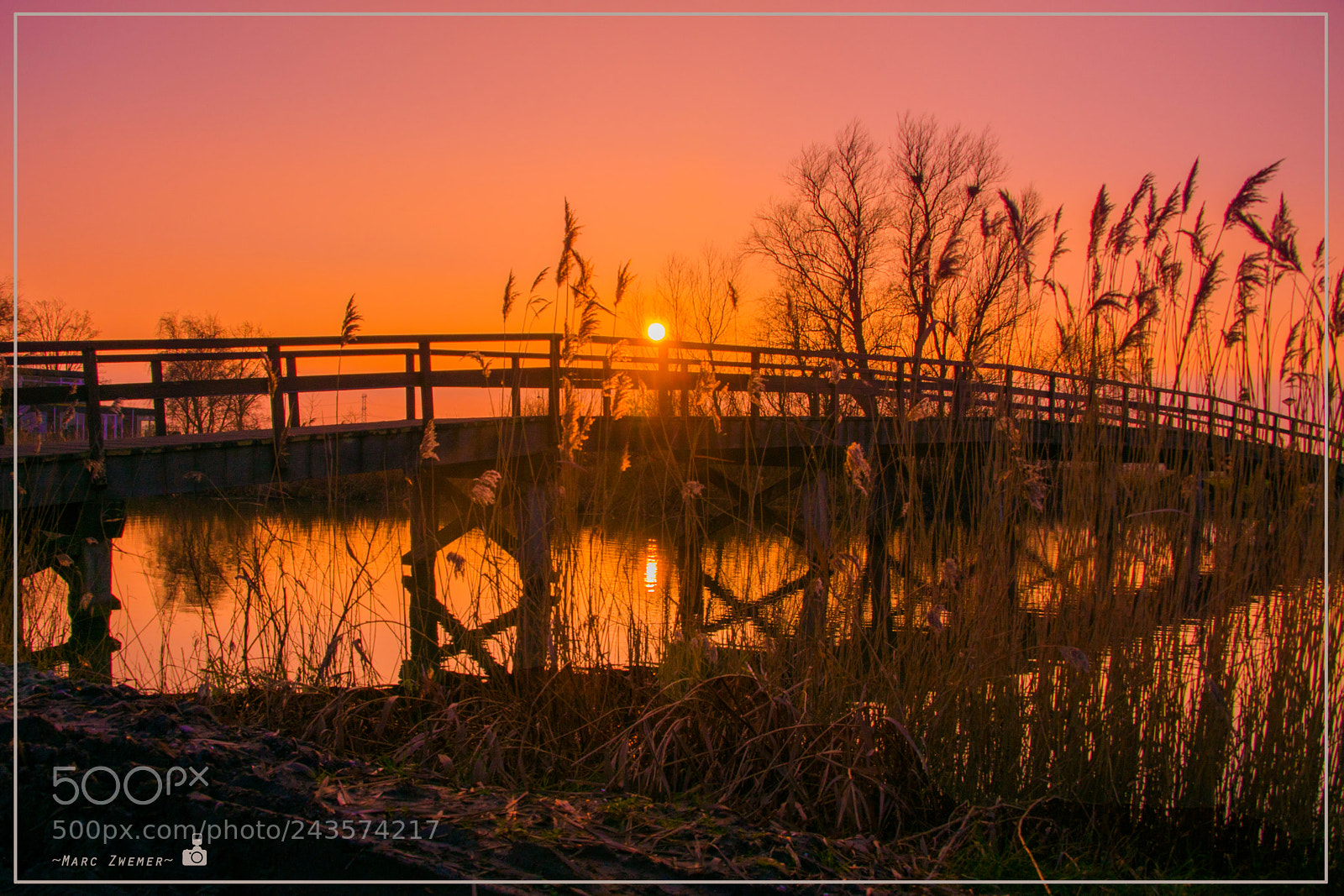 Sony ILCA-77M2 sample photo. Bridge to the sun photography