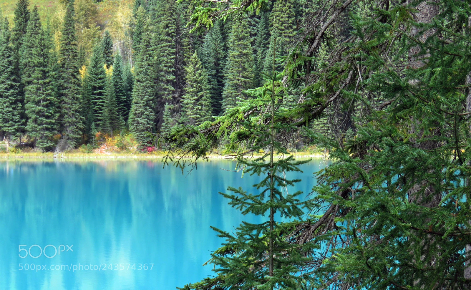 Canon PowerShot SX60 HS sample photo. Emerald lake photography