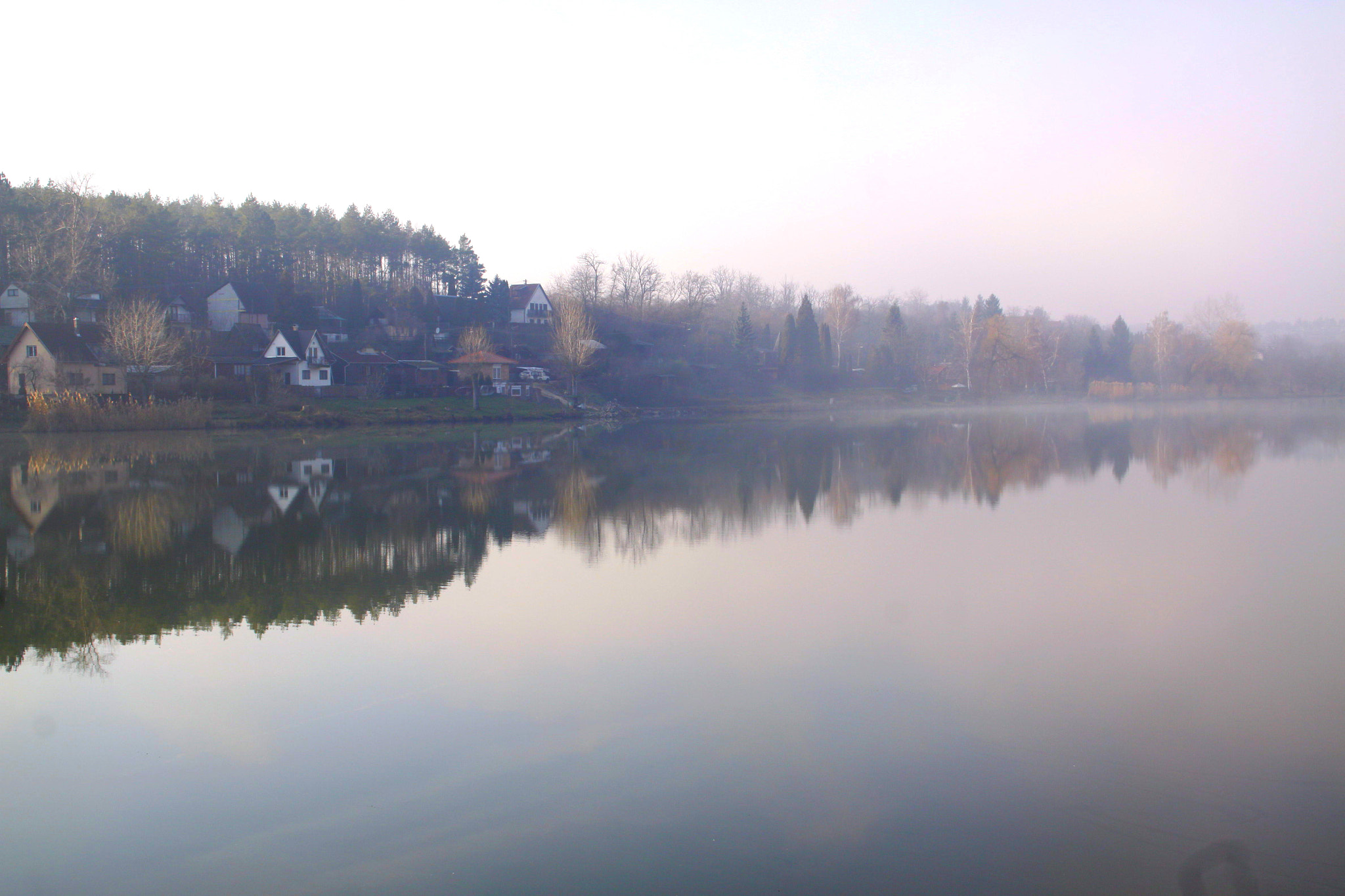 Canon EOS 50D sample photo. Fog at the lake photography