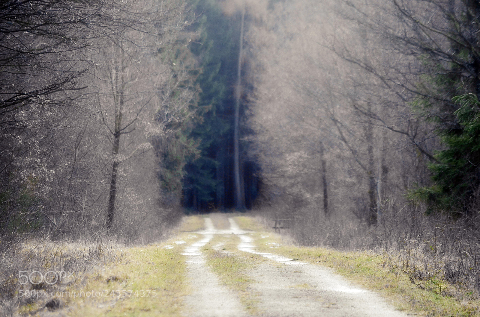 Nikon D5100 sample photo. Moods photography