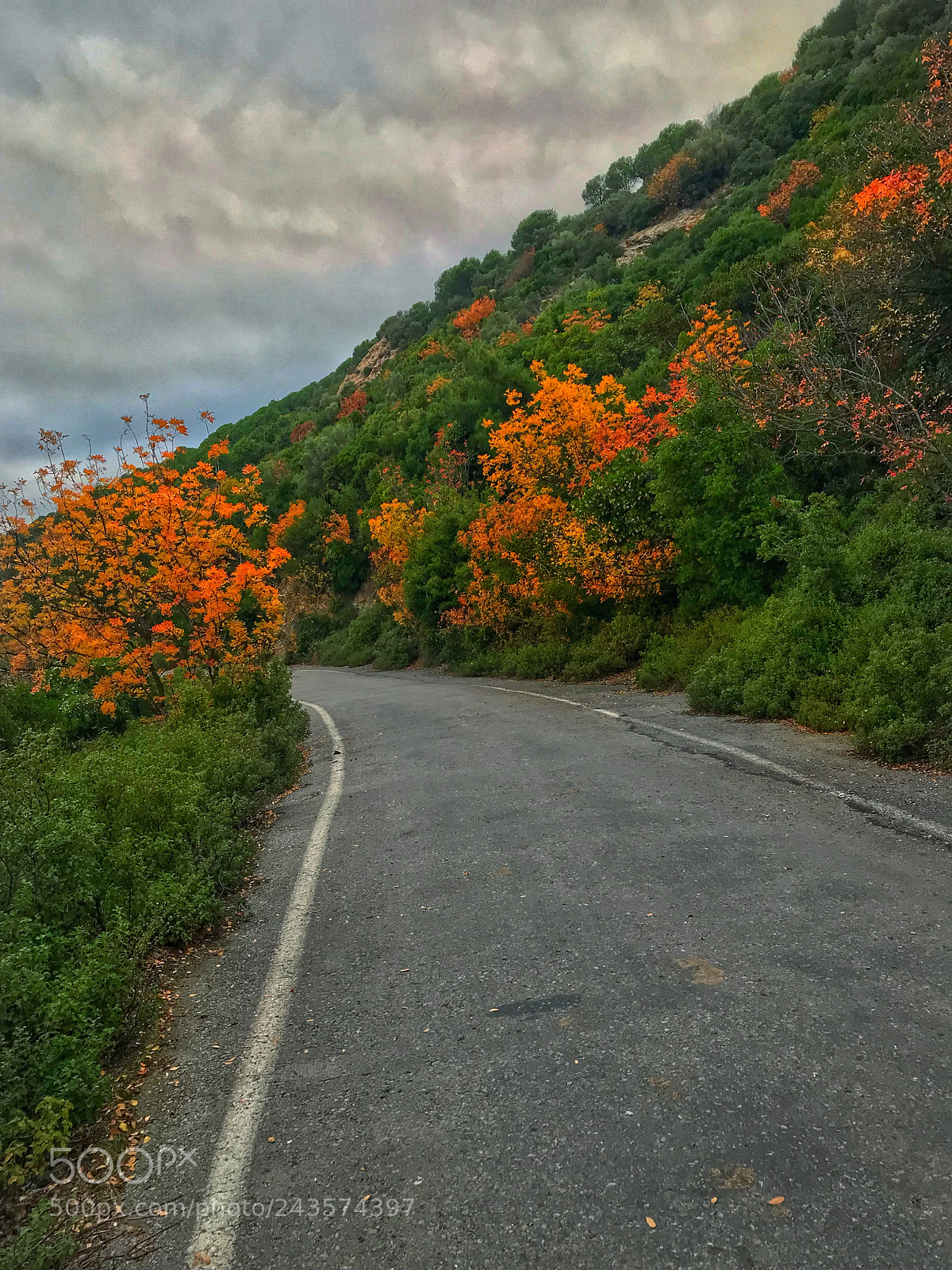 Apple iPhone 7 sample photo. The nature that with photography