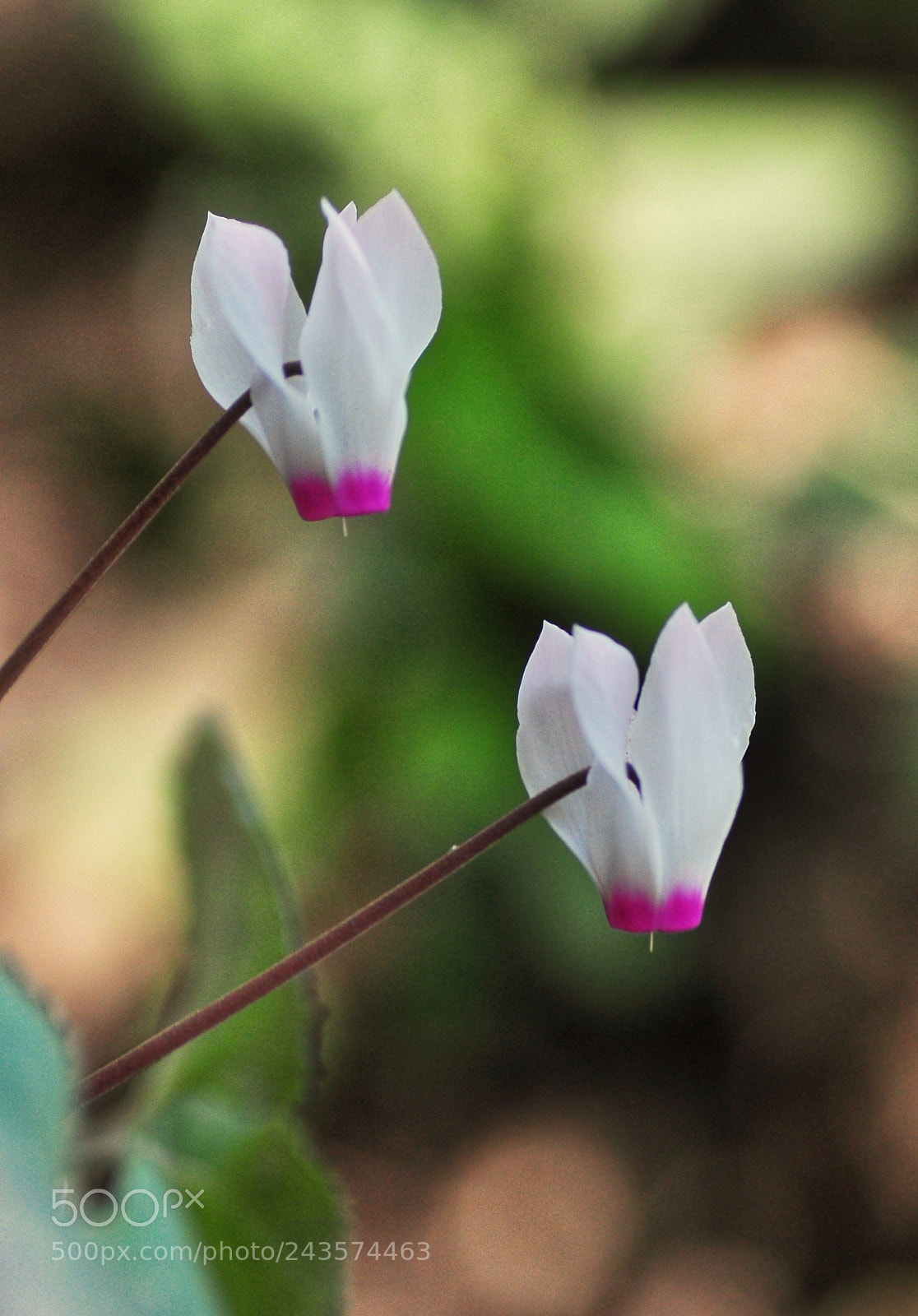 Nikon D90 sample photo. Untitled photography