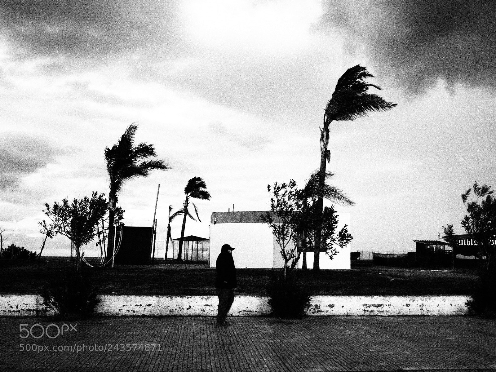 Olympus PEN-F sample photo. Windy day photography