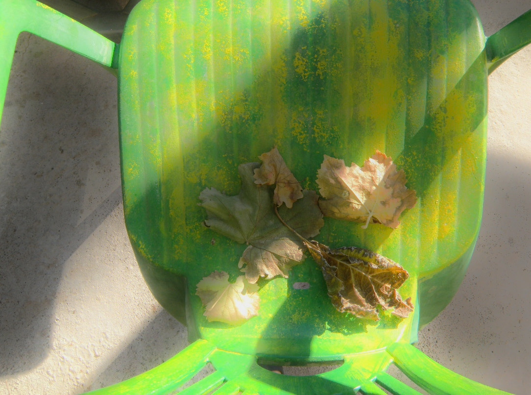 Olympus SP-565UZ sample photo. 4 seasons chair / recycled photography