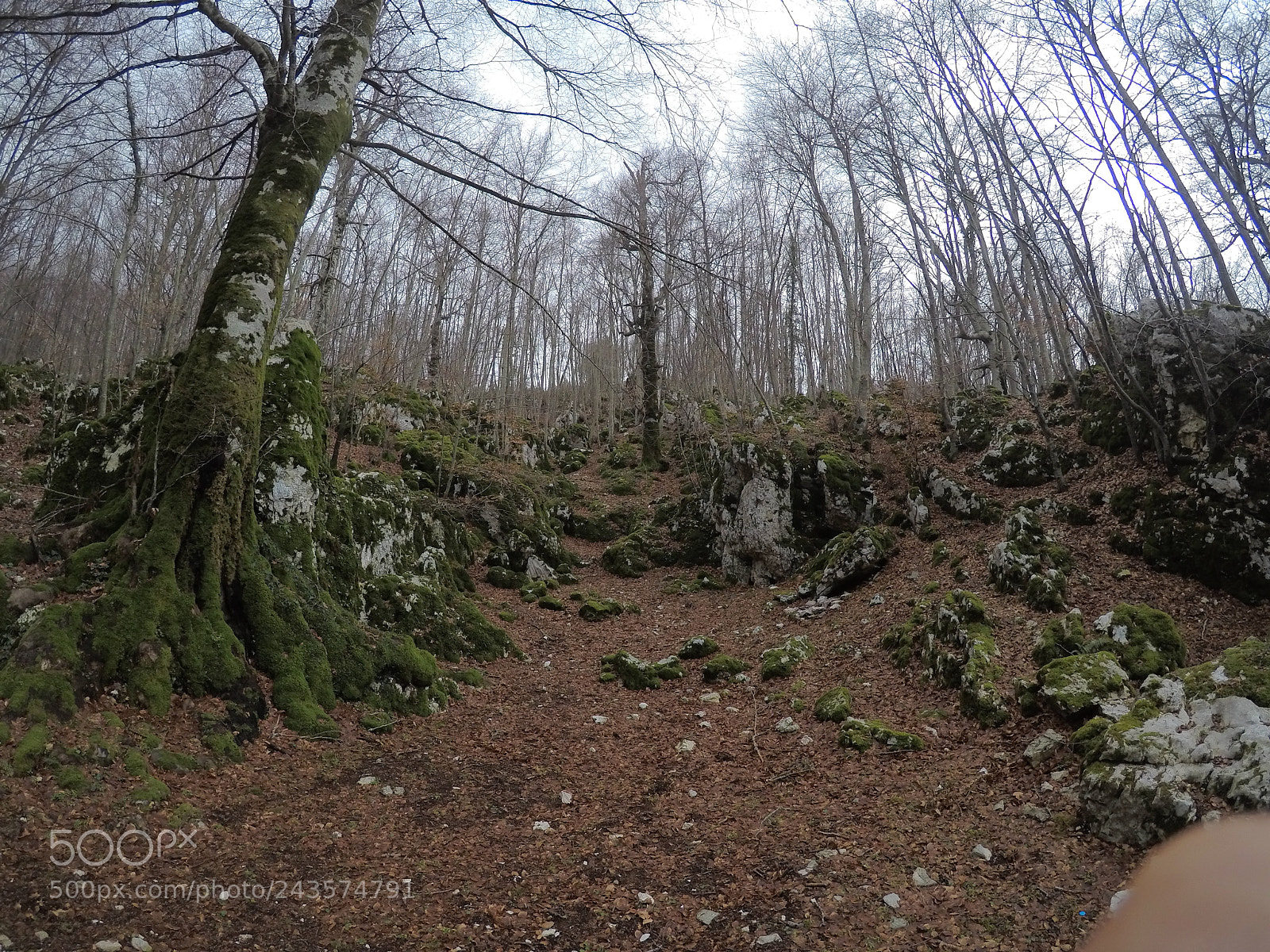 GoPro Hero5 Black sample photo. ⛰⛰☘️ photography