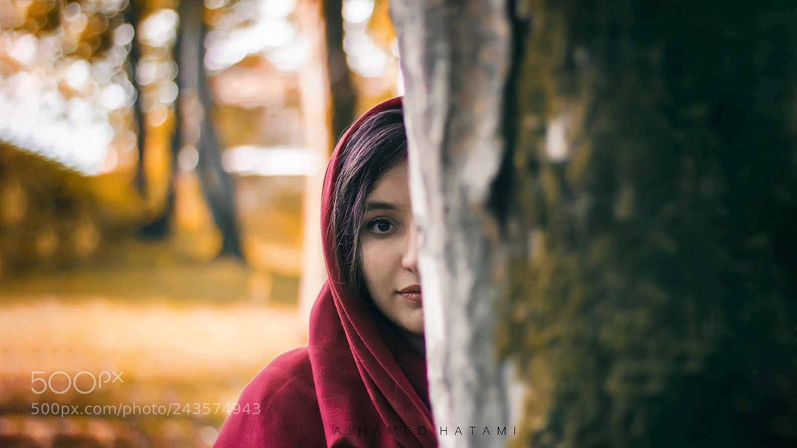 Canon EOS 60D sample photo. Autumn photography