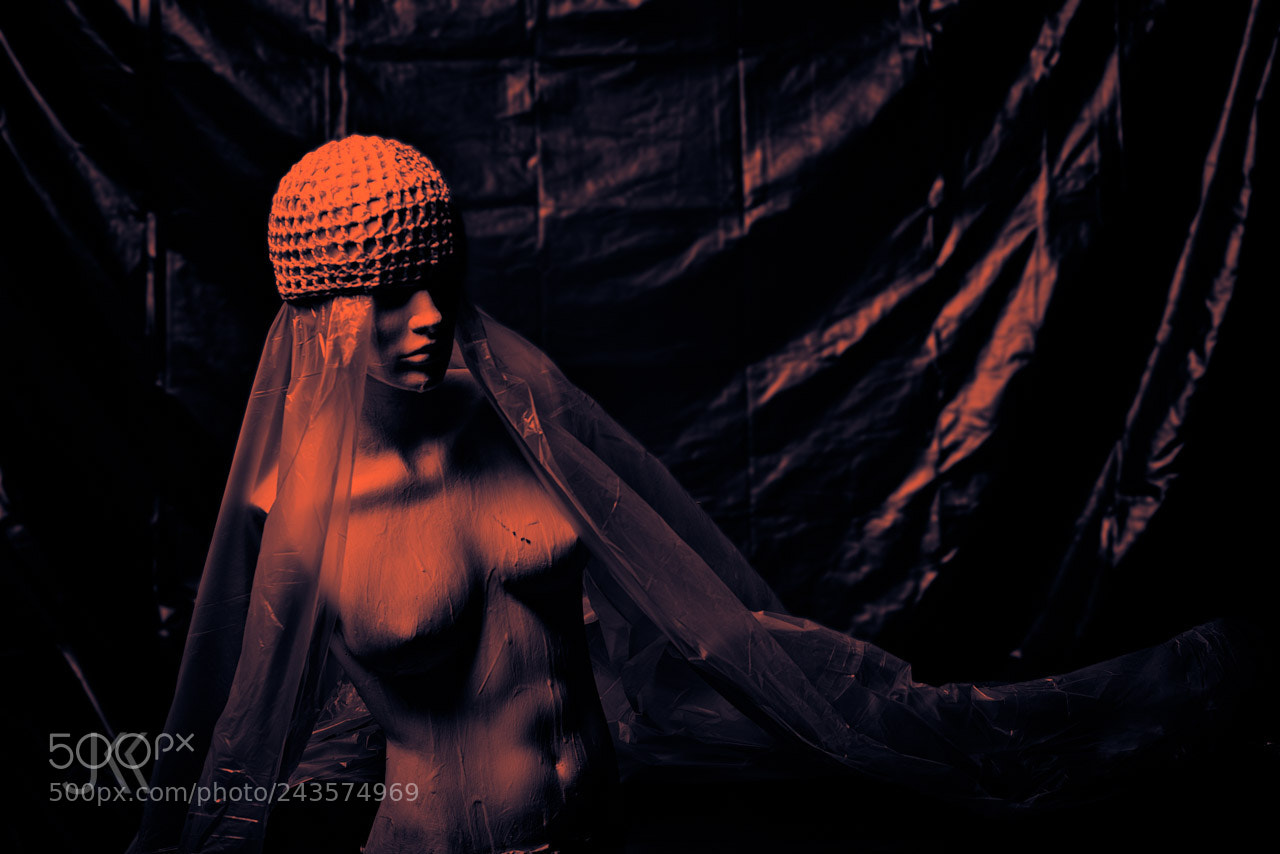 Nikon D800 sample photo. Doll photography