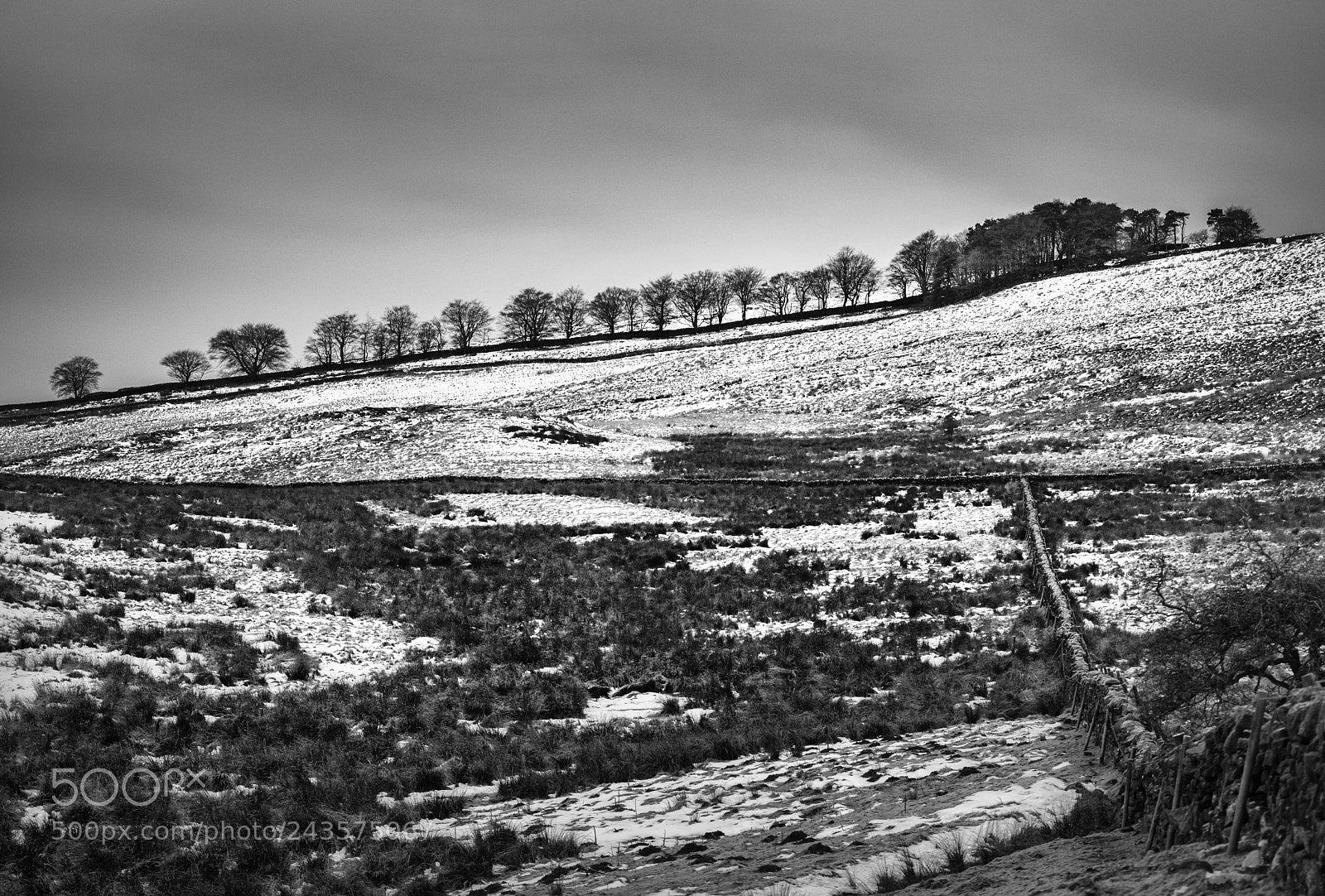 Nikon D810 sample photo. Barcombe winter photography