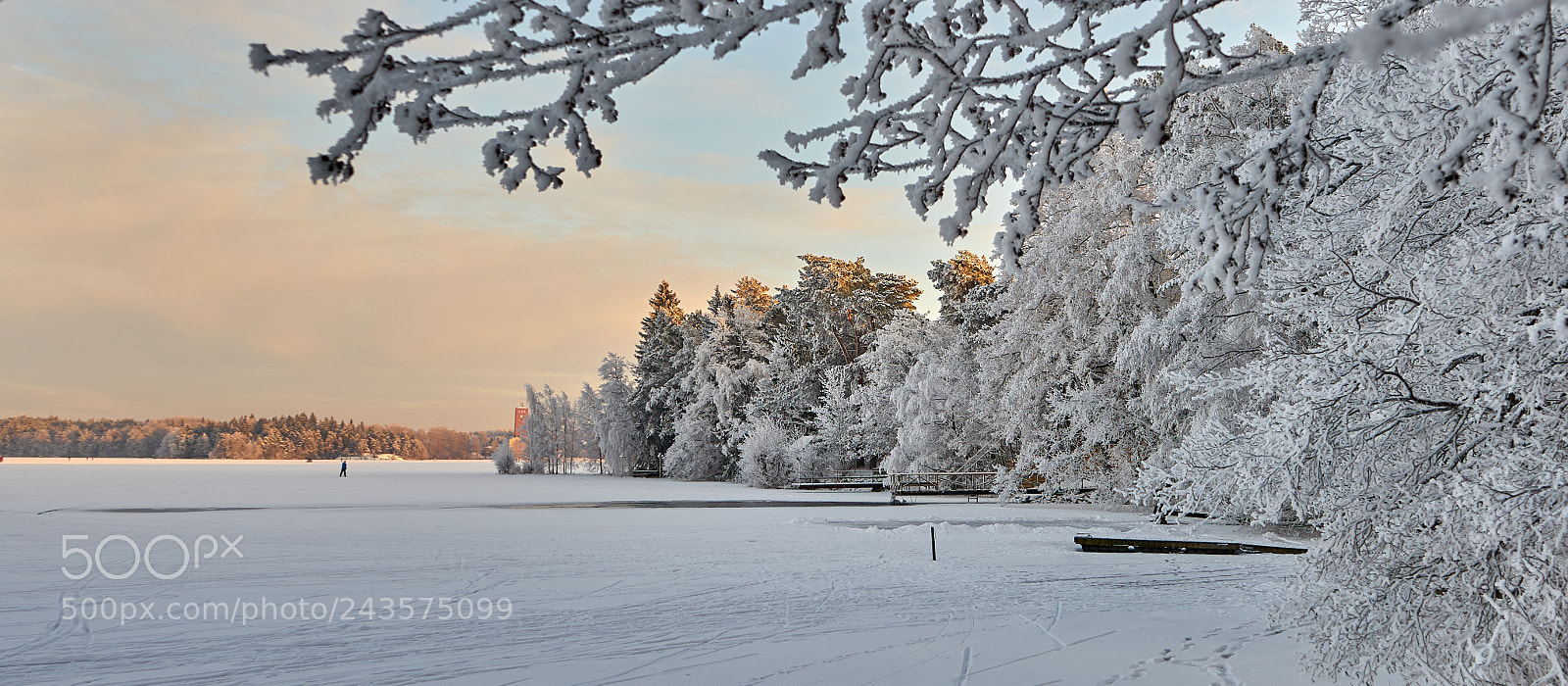 Sony a7 sample photo. White trees on icy photography