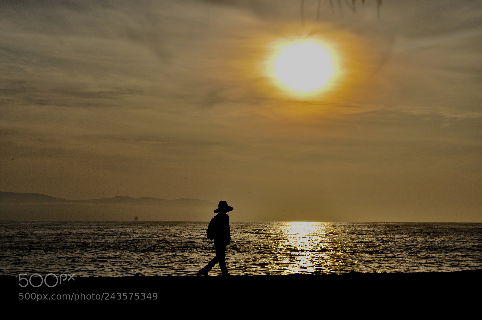 Nikon D5000 sample photo. Walking with the sun photography