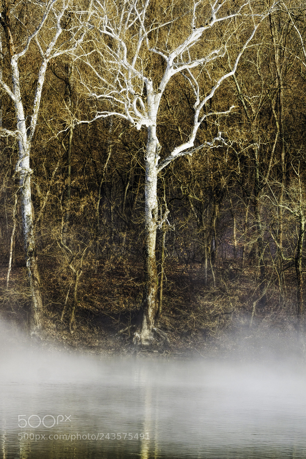 Sony SLT-A77 sample photo. Clearing mist photography