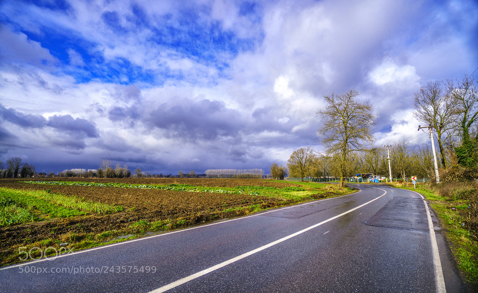 Sony a7R II sample photo. It has not snowed photography