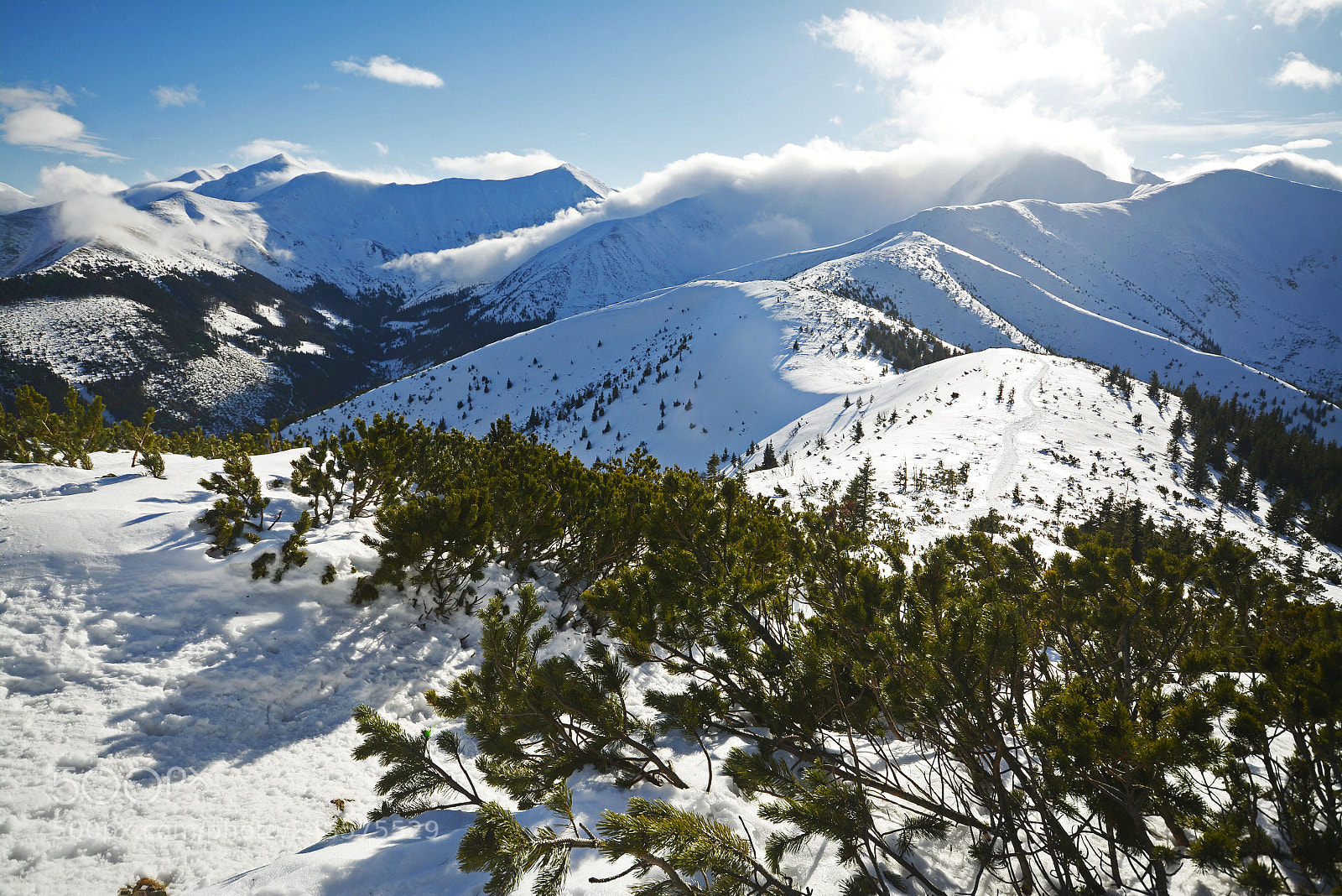Nikon D7100 sample photo. Winter photography