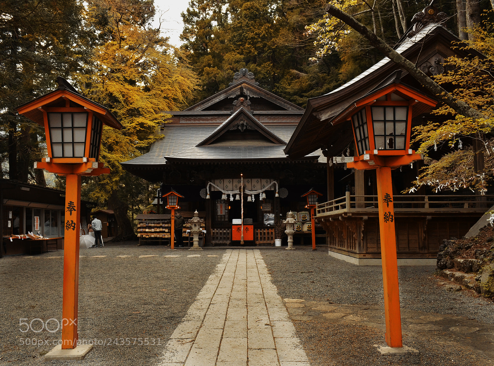 Nikon D5100 sample photo. Kyoto shrine photography