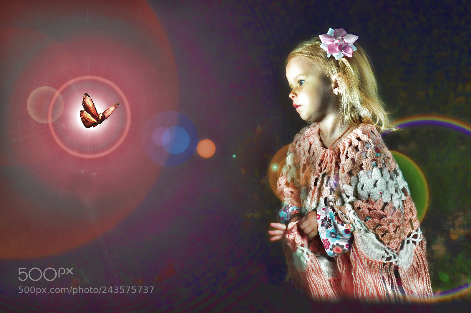 Nikon D90 sample photo. (копия) photography