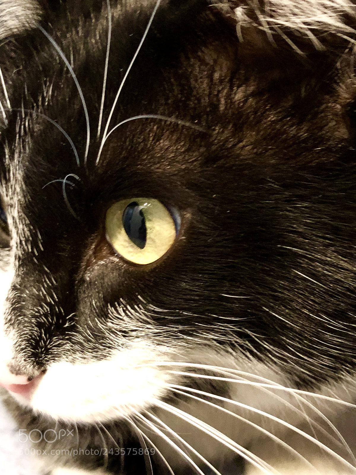 Apple iPhone X sample photo. Bruce visit my webpage photography