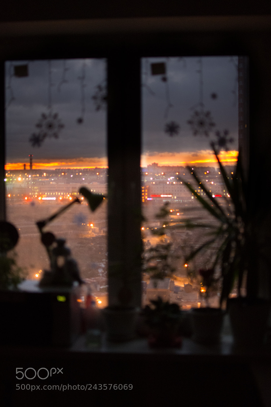 Nikon D7200 sample photo. Из клетки photography